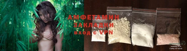 ПСИЛОЦИБИНОВЫЕ ГРИБЫ Абаза