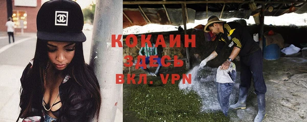 крисы Алексеевка