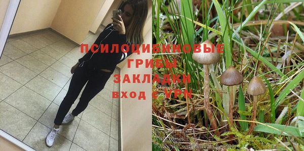 мяу мяу мука Абинск