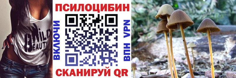Галлюциногенные грибы Psilocybine cubensis shop клад Осташков